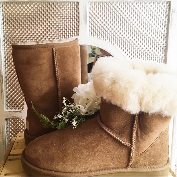 UGG Shoes - UGG BOOT Chestnut CLASSIC SHORT II, Size 8